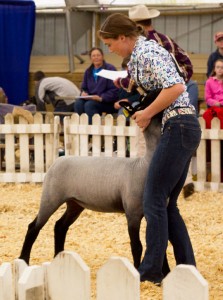 Jordan's 127 Pound Ewe Lamb