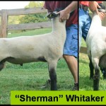 Sherman Fall 2010b