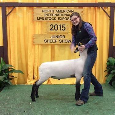 128 Suffolk NAILE