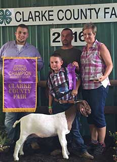 Venable farms Show Goats for Sale