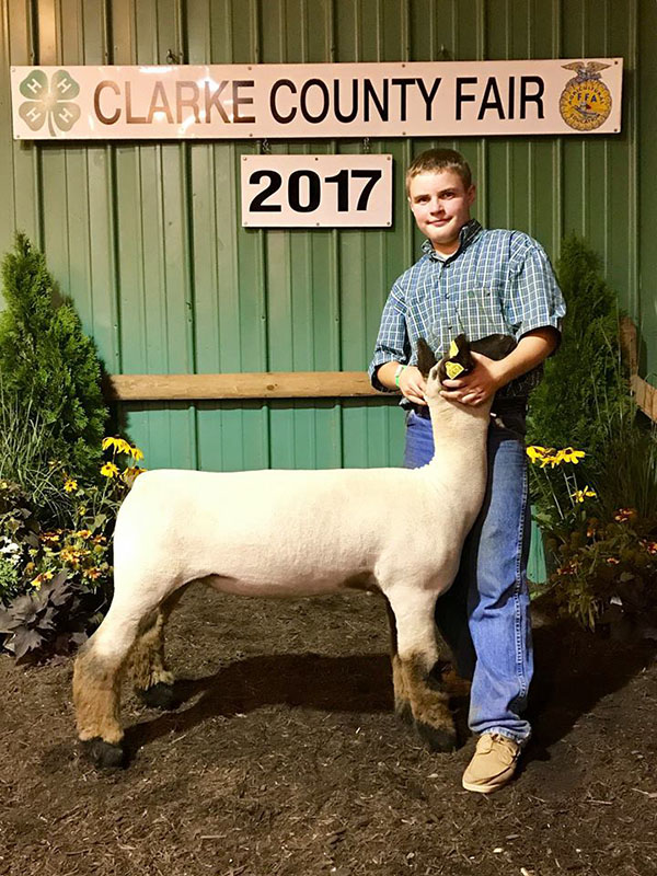 2017 Clarke County Sheep Show & Market Lamb Show Results