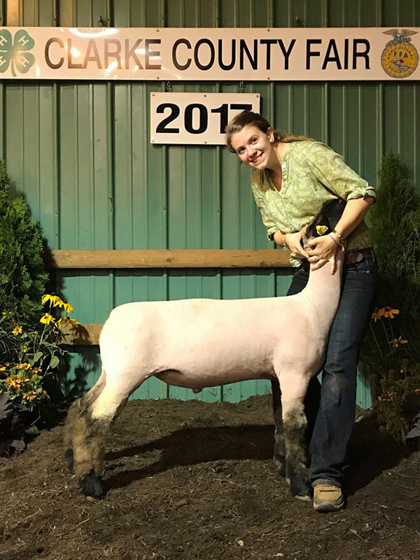 2017 Clarke County Sheep Show & Market Lamb Show Results