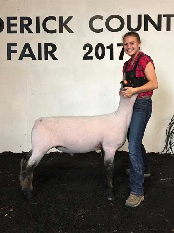 2017 Frederick County Sheep Show & Market Lamb Show Results