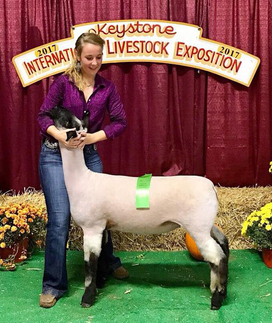 2018 Keystone International Livestock Expo Winners Cornerstone Club Lambs