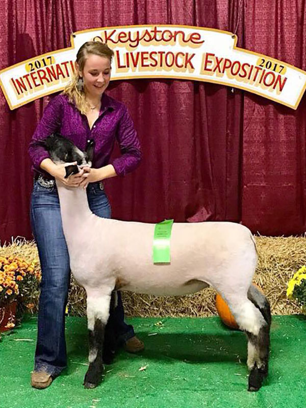 Keystone International Livestock Exposition Market Lamb Show Results