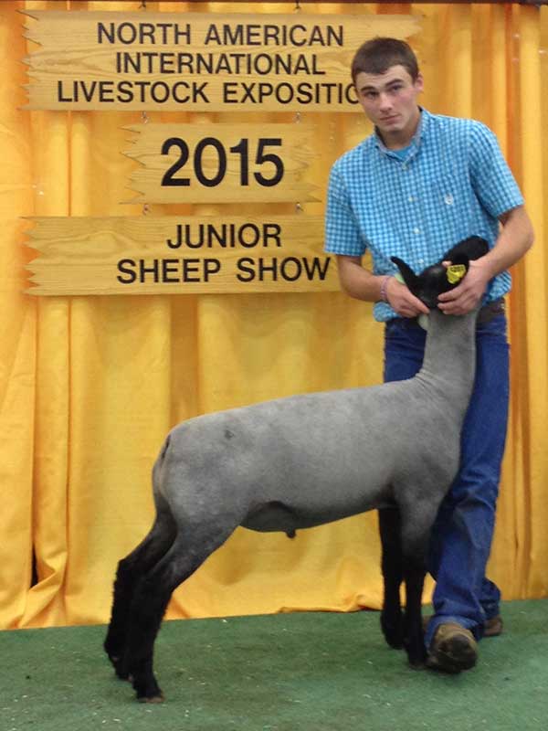 2015 NAILE Market Wether Show Winners
