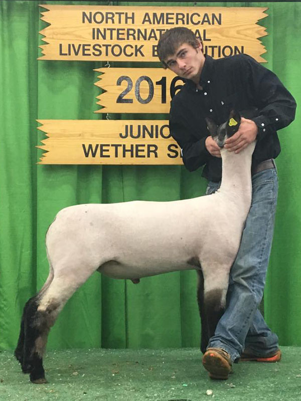 2016 NAILE Market Wether Show Winners