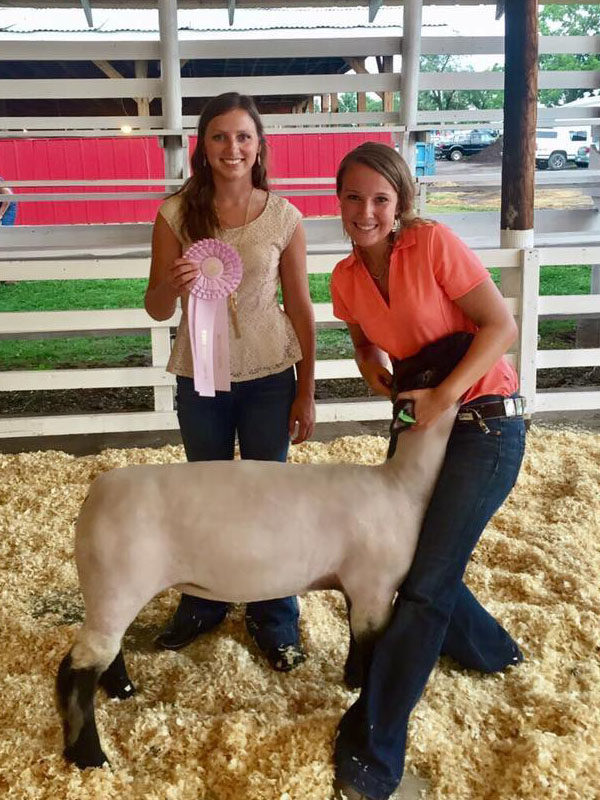 2017 Prince William County Market Lamb Show Results