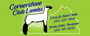 Hampshire Club Lambs for Sale