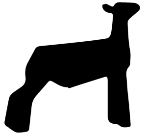 Show Lamb Clip Art 2-Right