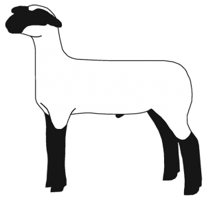 Show Lamb Clip Art 4-Left