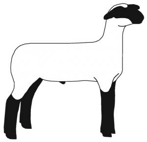 Show Lamb Clip Art 4-Right