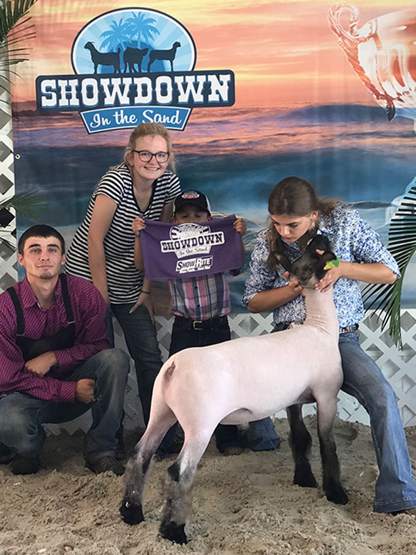 Show Lambs for Sale in Virginia, West Virginia, Pennsylvania, Maryland